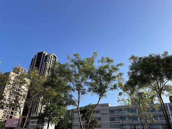 新竹油羅山霞山 - 夏日雲霧輕爽走