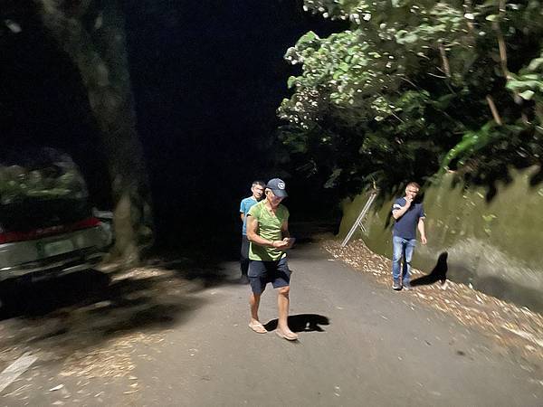 新竹油羅山霞山 - 夏日雲霧輕爽走