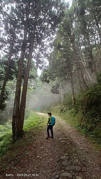 新竹油羅山霞山 - 夏日雲霧輕爽走