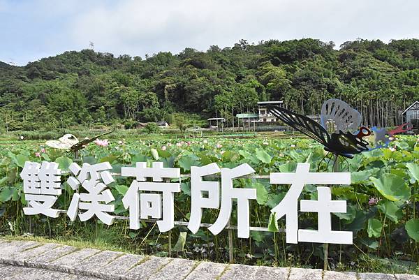 燦光寮古道和貂山古道O形走 - 夏賞荷花吃剉冰