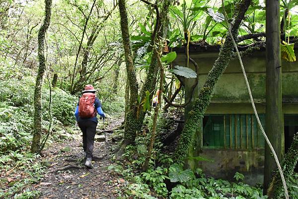 燦光寮古道和貂山古道O形走 - 夏賞荷花吃剉冰