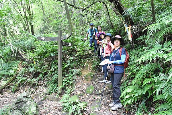 燦光寮古道和貂山古道O形走 - 夏賞荷花吃剉冰