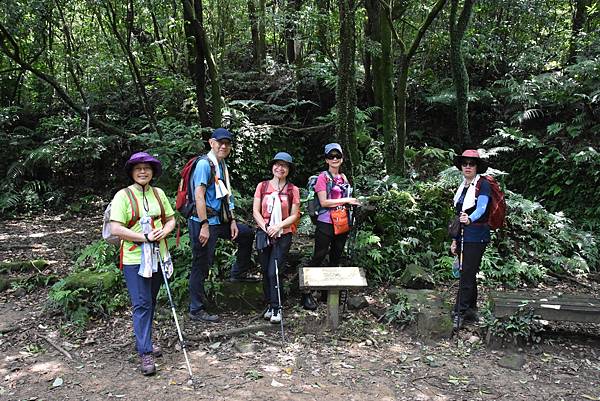 燦光寮古道和貂山古道O形走 - 夏賞荷花吃剉冰