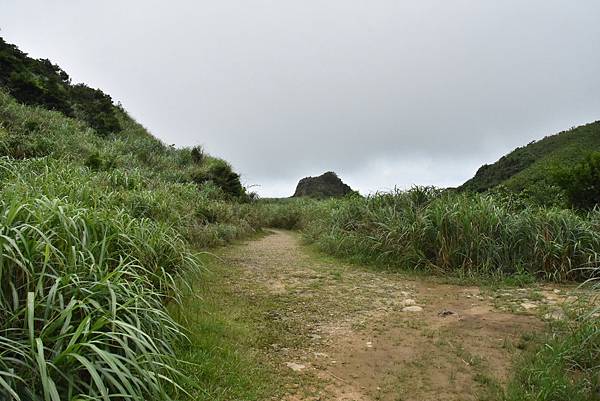 燦光寮古道和貂山古道O形走 - 夏賞荷花吃剉冰