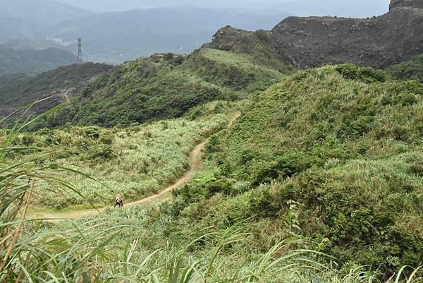 燦光寮古道和貂山古道O形走 - 夏賞荷花吃剉冰