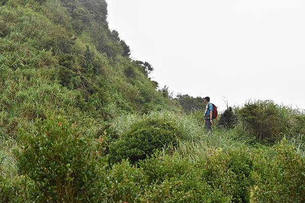 燦光寮古道和貂山古道O形走 - 夏賞荷花吃剉冰