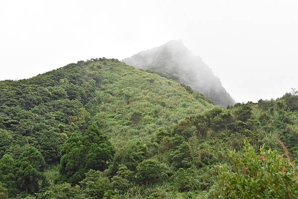 燦光寮古道和貂山古道O形走 - 夏賞荷花吃剉冰