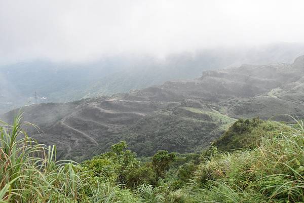 燦光寮古道和貂山古道O形走 - 夏賞荷花吃剉冰