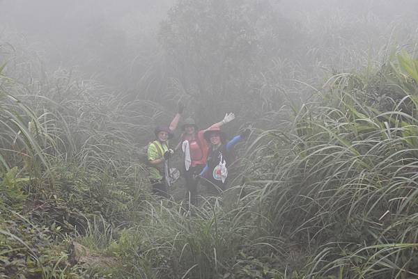 燦光寮古道和貂山古道O形走 - 夏賞荷花吃剉冰