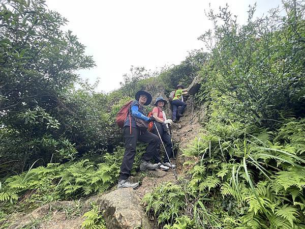 燦光寮古道和貂山古道O形走 - 夏賞荷花吃剉冰