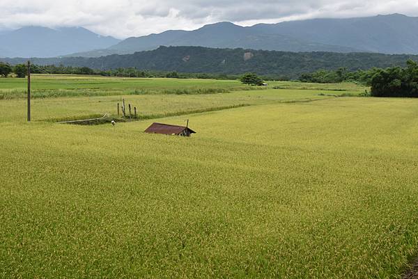 夏季蘭嶼徒步環島 - 漫遊藍色太平洋: 漫遊縣道193 - 