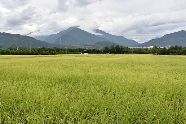 夏季蘭嶼徒步環島 - 漫遊藍色太平洋: 漫遊縣道193 - 