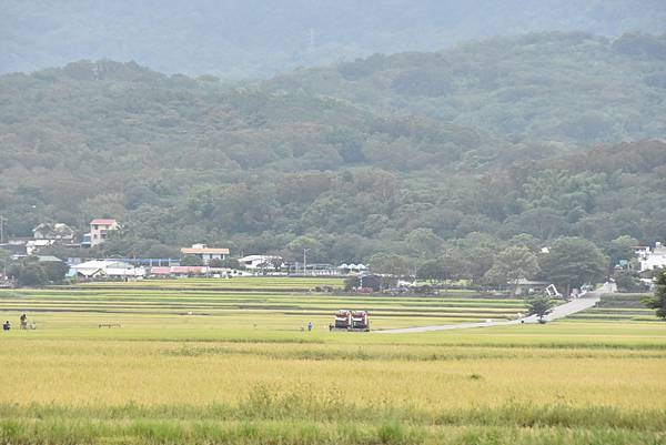 夏季蘭嶼徒步環島 - 漫遊藍色太平洋: 漫遊縣道193 - 