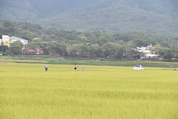 夏季蘭嶼徒步環島 - 漫遊藍色太平洋: 漫遊縣道193 - 