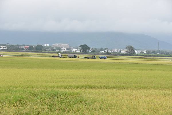 夏季蘭嶼徒步環島 - 漫遊藍色太平洋: 漫遊縣道193 - 