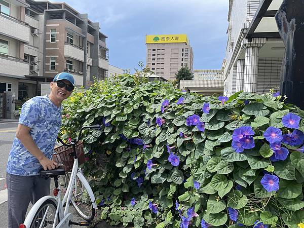 夏季蘭嶼徒步環島 - 漫遊藍色太平洋: 單車遊琵琶湖 - 機