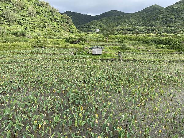 夏季蘭嶼徒步環島 - 漫遊藍色太平洋: 陡步環島第一天 - 