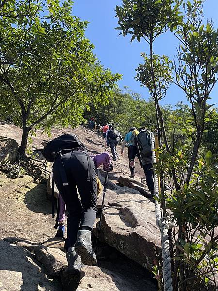 金面山步道大崙尾山 - 初秋漫步輕走山林