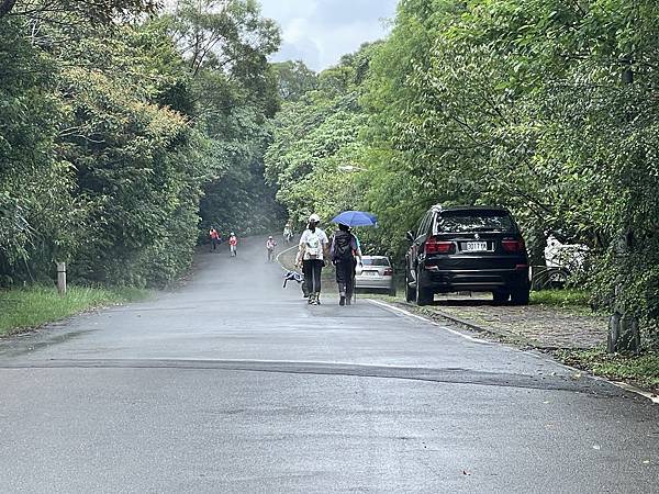 金面山步道大崙尾山 - 初秋漫步輕走山林