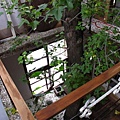 IMG_4274-800.jpg