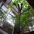 IMG_4296-800.jpg