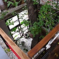 IMG_4275-800.jpg