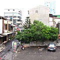 IMG_4268-800.jpg