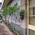 IMG_4291-800.jpg