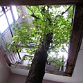 IMG_4293-800.jpg
