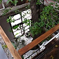 IMG_4276-800.jpg