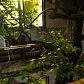 IMG_4259-800.jpg