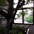 IMG_4273-800.jpg
