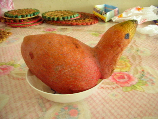 芒果雞