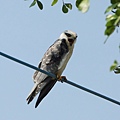 DSC08510.JPG