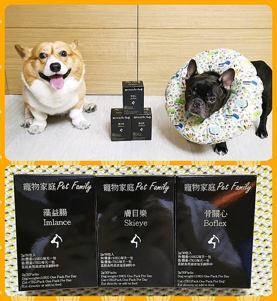 狗狗皮膚保健 寵物家庭-膚目樂 降低搔抓有感