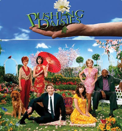 50426216---pushing_daisies.jpg