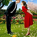 pushing_daisies_0_0_0x0_384x512.jpg