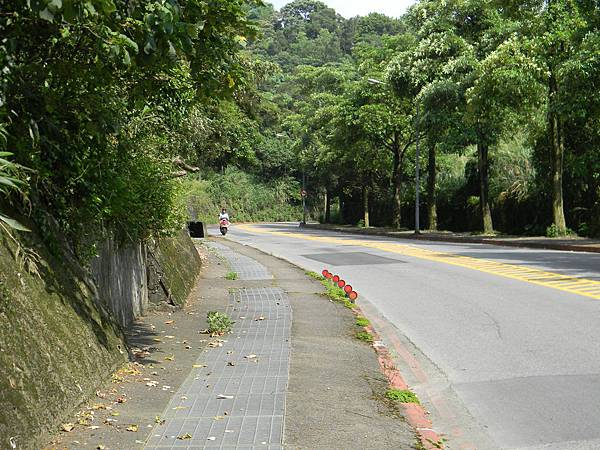 56.往莊敬隧道的臥龍街山路3.JPG