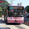 236路區間車  556-FZ