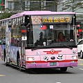棕2路支援 熊貓公車123路 806-U3.JPG