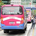 東南客運海格中型巴士 車尾特寫