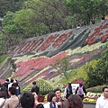 2010陽明山花季 086.jpg