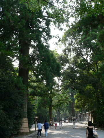 P1050318.jpg