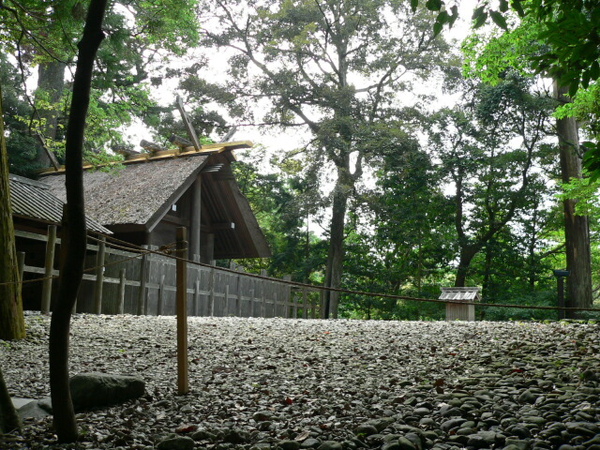 P1050342.jpg P1050342.jpg