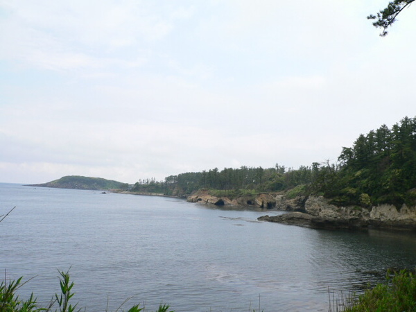 P1060251.jpg P1060251.jpg