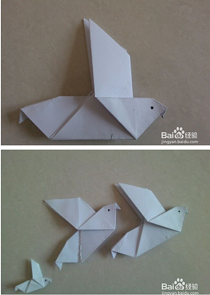 如何摺紙鴿子