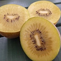 七天奧克蘭吃了太多奇異果，整個人都變的很kiwi.jpg