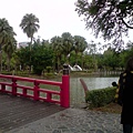 P301208_10.17.JPG