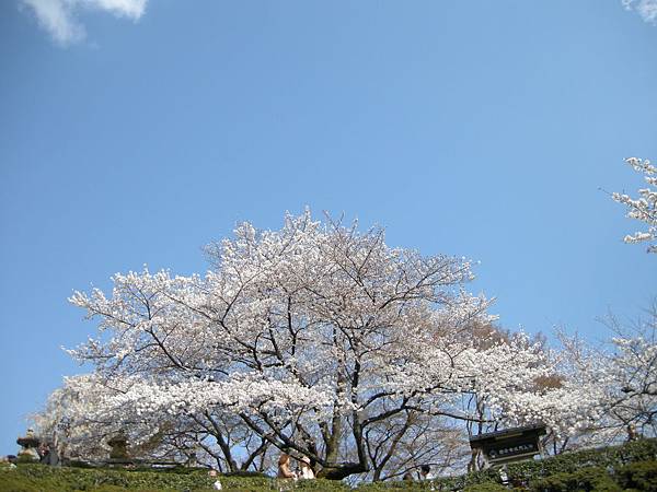 2011-Apr-京阪神 736.jpg