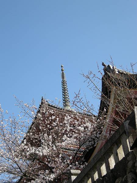 2011-Apr-京阪神 772.jpg